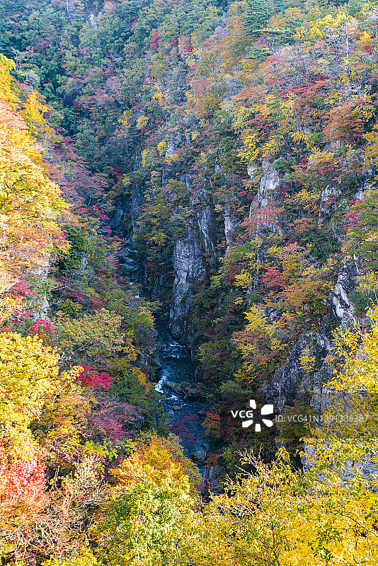 色彩缤纷的秋季鸣子峡风景图片素材