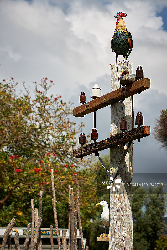 奇特的电线杆图片素材