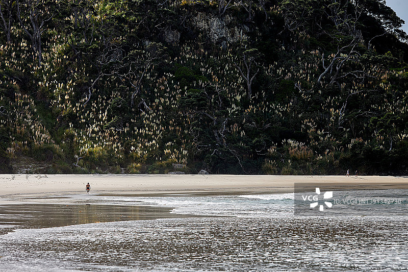 梅德兰海滩和步行者图片素材