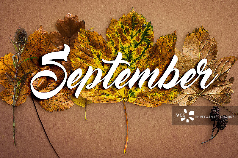 金色箔气球上的九月文字。黑色背景图片素材