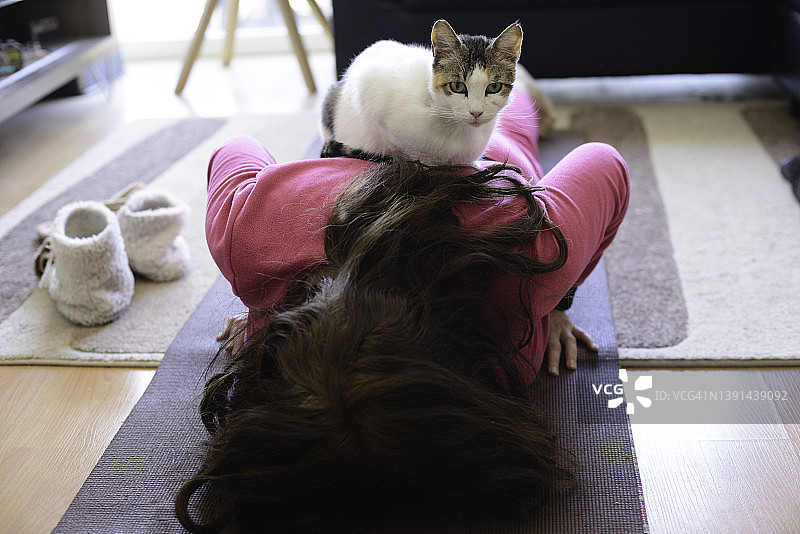 做瑜伽的猫女图片素材