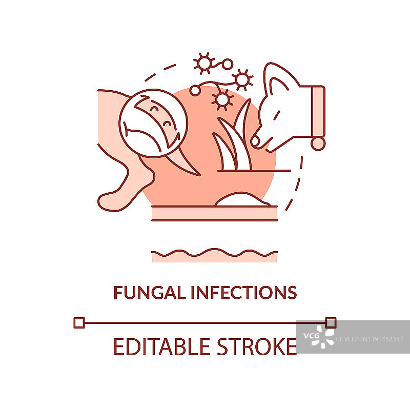 真菌感染赤陶概念图标图片素材