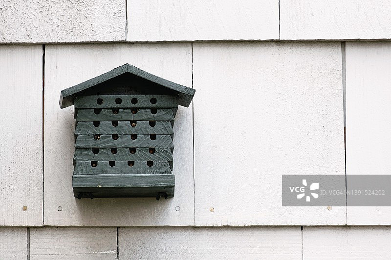 蜜蜂屋图片素材