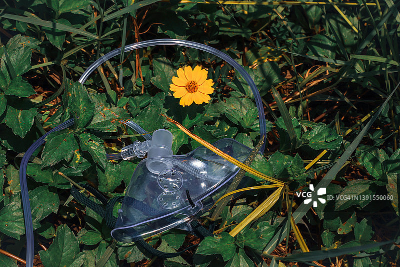 放在草地上的带花的氧气面罩图片素材