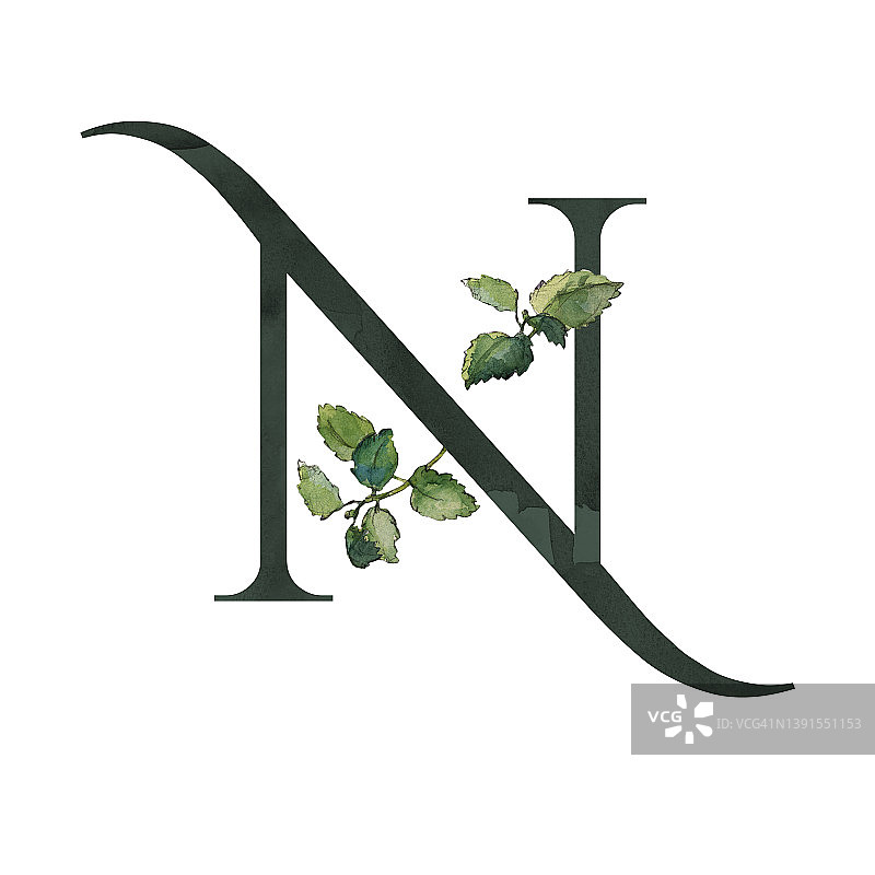带有绿色香蜂草树枝的深色字母N符号图片素材