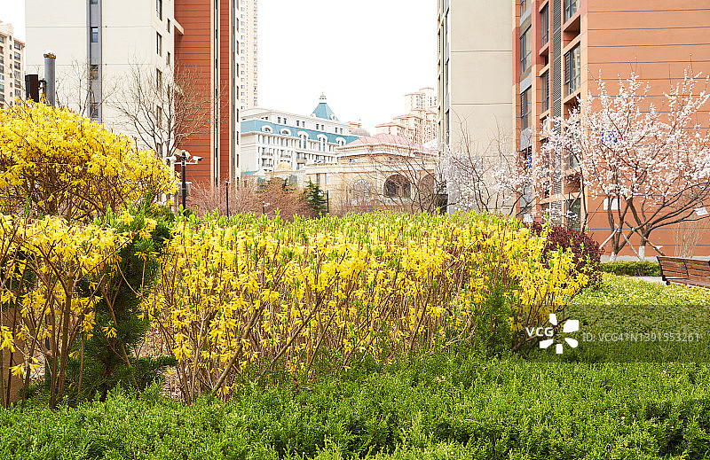 居住区的春天图片素材