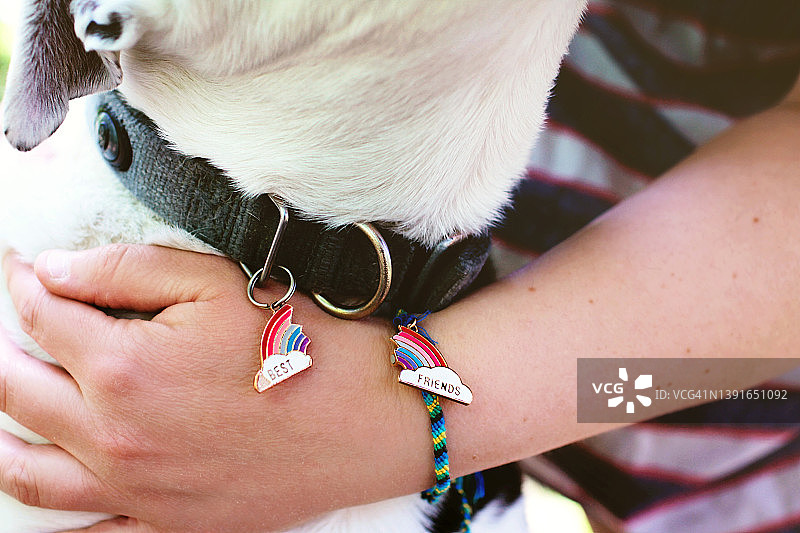 女人和她的狗的友谊手链（特写）图片素材