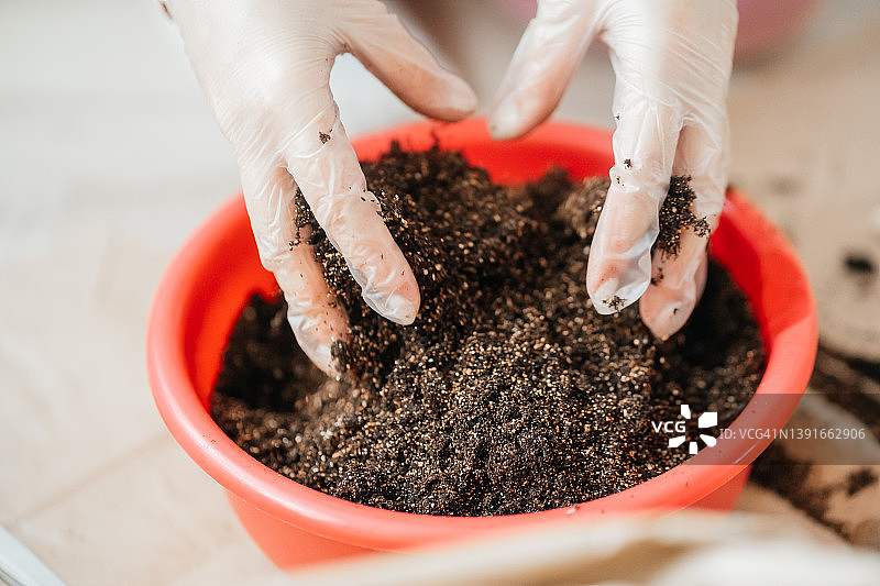 女孩双手揉搓泥土，准备移植植物图片素材