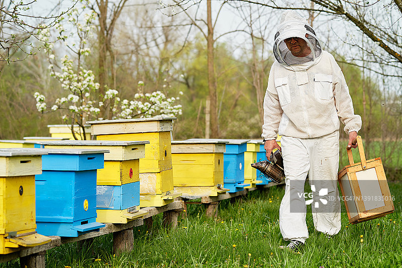 养蜂人在蜂场里工作图片素材