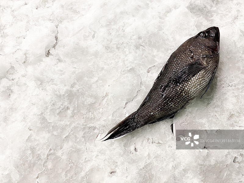 零售市场新鲜海鲈鱼冰鲜展示图片素材