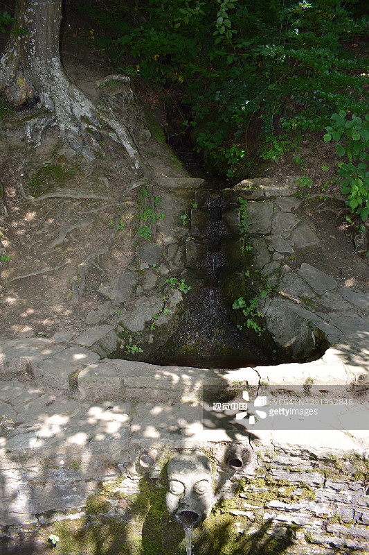 森林中被石头环绕的泉水图片素材