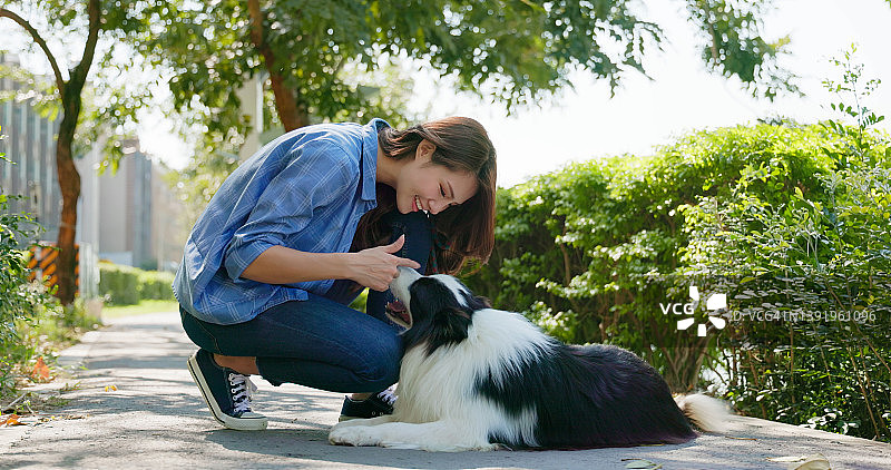 女人抚摸狗图片素材