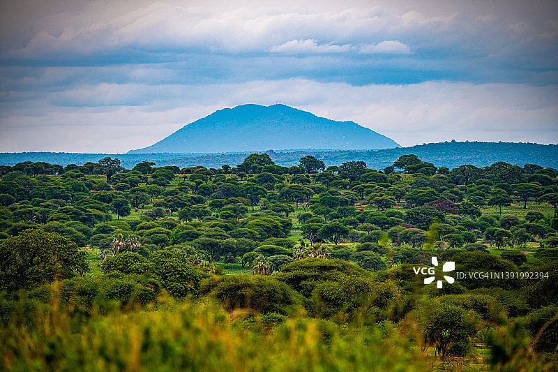 坦桑尼亚塔兰吉雷国家公园的卡蒂邦山图片素材