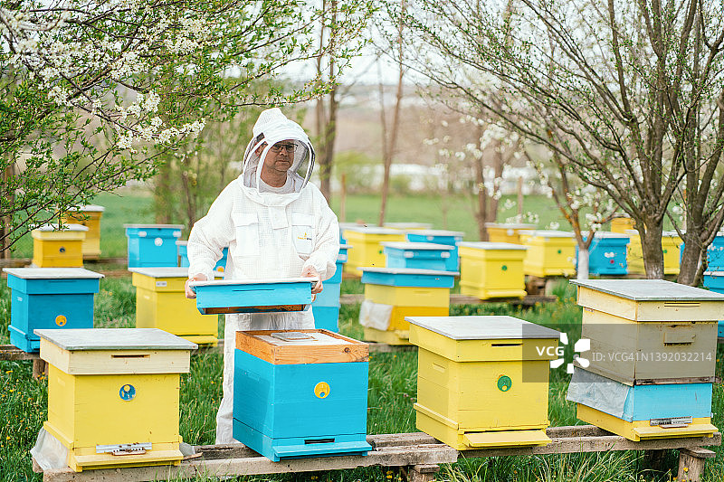 养蜂人图片素材