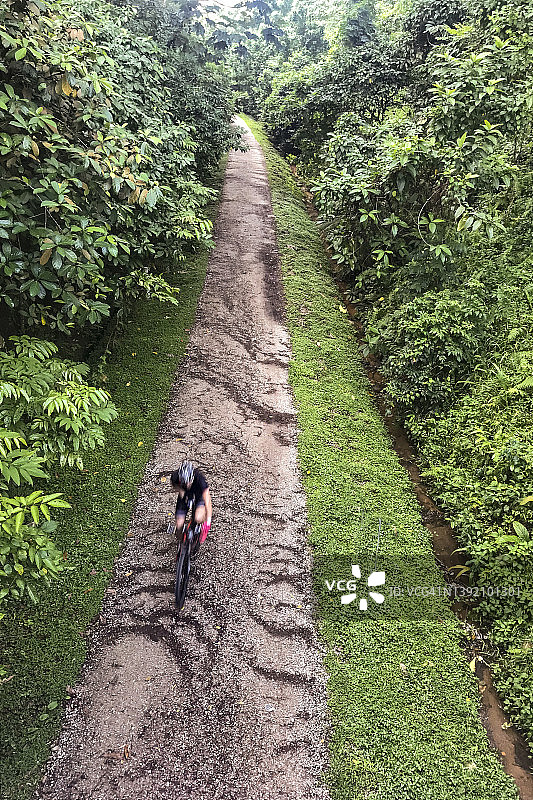 新加坡森林小径图片素材