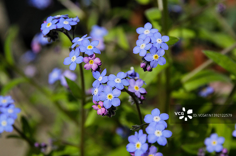 不要忘记我图片素材