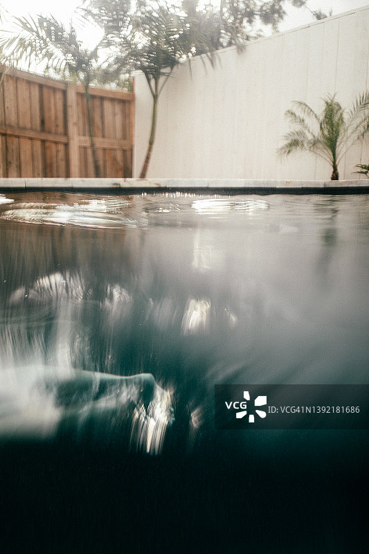 黑水池塘树木旁的朦胧夏日图片素材