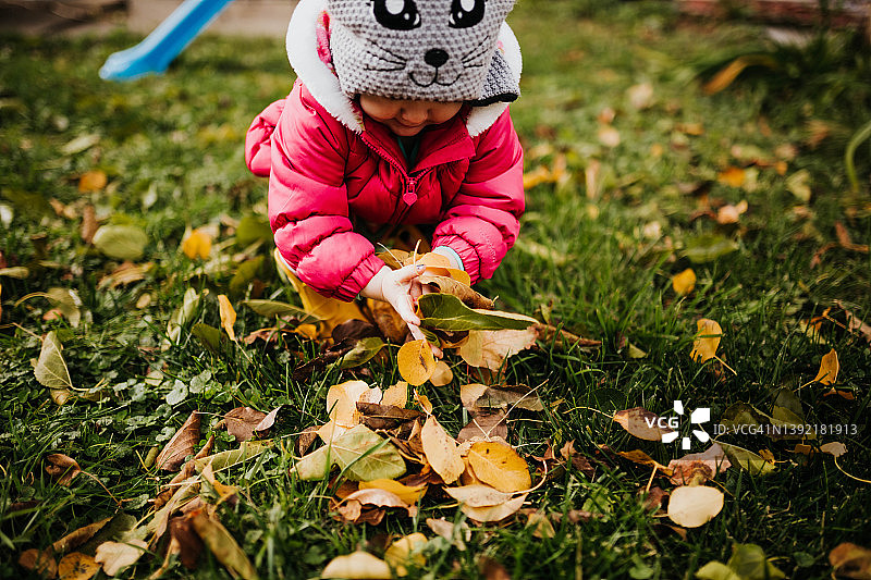 幼儿在户外捡起一堆黄叶的特写图片素材