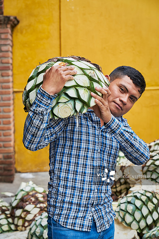 男子将龙舌兰堆放在准备蒸制的烤箱中图片素材