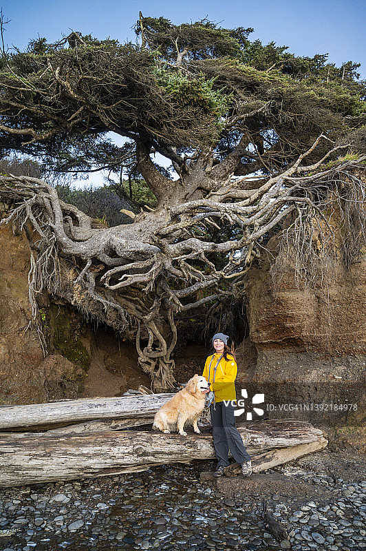 在奥林匹克海岸生命之树与她的狗合影的女性图片素材