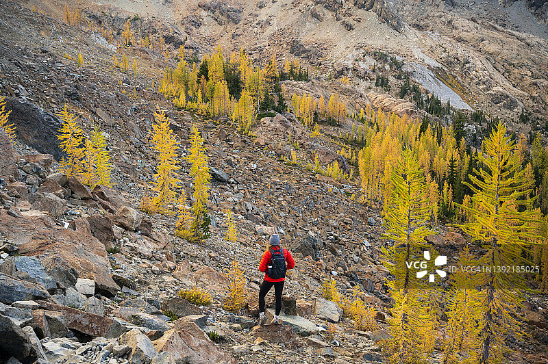 在金色落叶松的高山湖泊荒野中摆姿势的健康女人图片素材