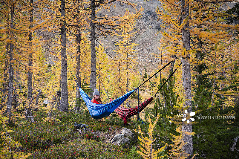 秋天，女人在落叶松森林的吊床上放松图片素材