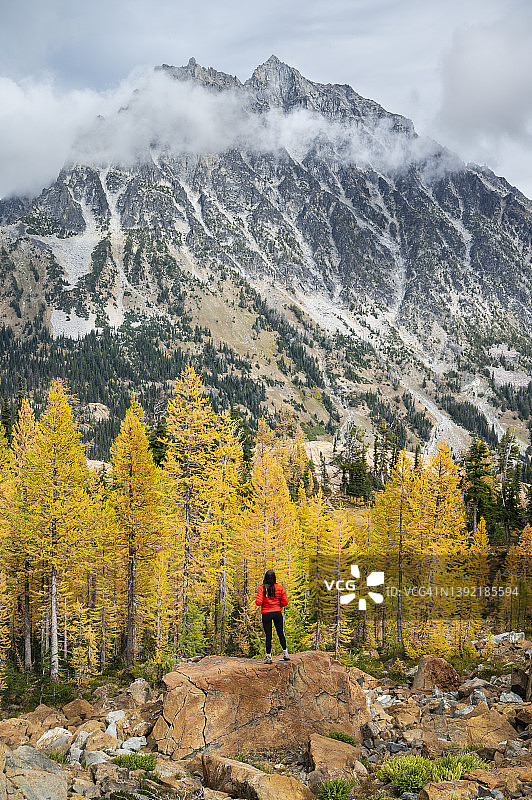 在阿尔卑斯落叶松和斯图尔特山森林中摆姿势的健康女性图片素材