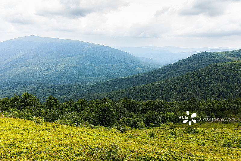 绿色山谷上方的阴天早晨景色图片素材