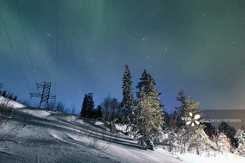 夜空下的冬季森林图片素材