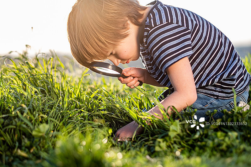 男孩享受探索大自然图片素材