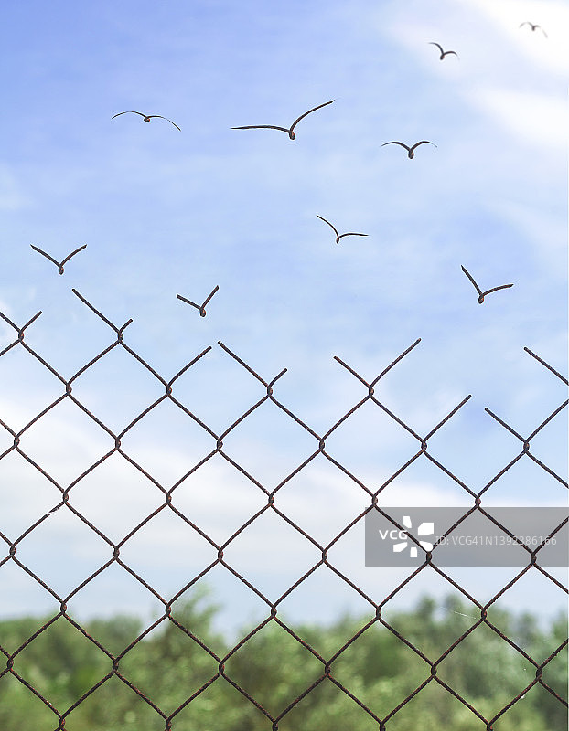 自由：没有界限，没有限制图片素材