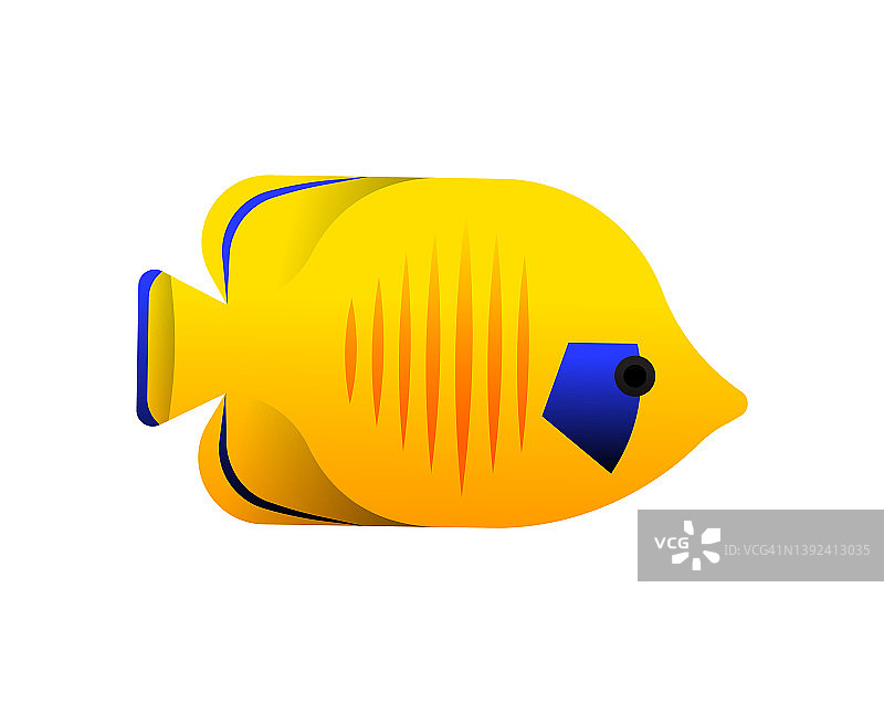 黄色海洋鱼类动物插图图片素材