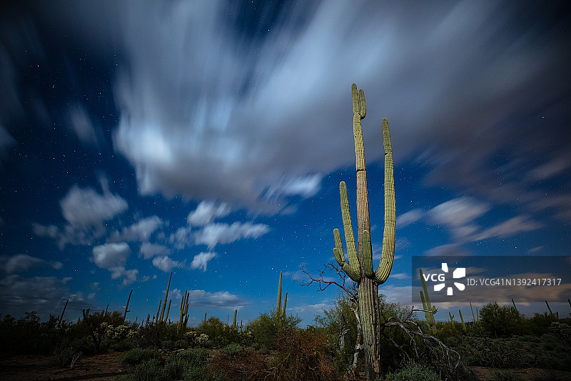 索诺兰沙漠的多云夜晚图片素材