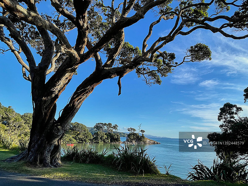 普里里湾与红花图片素材