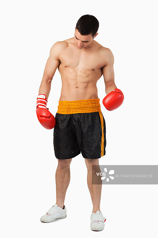 健壮的年轻拳击手图片素材