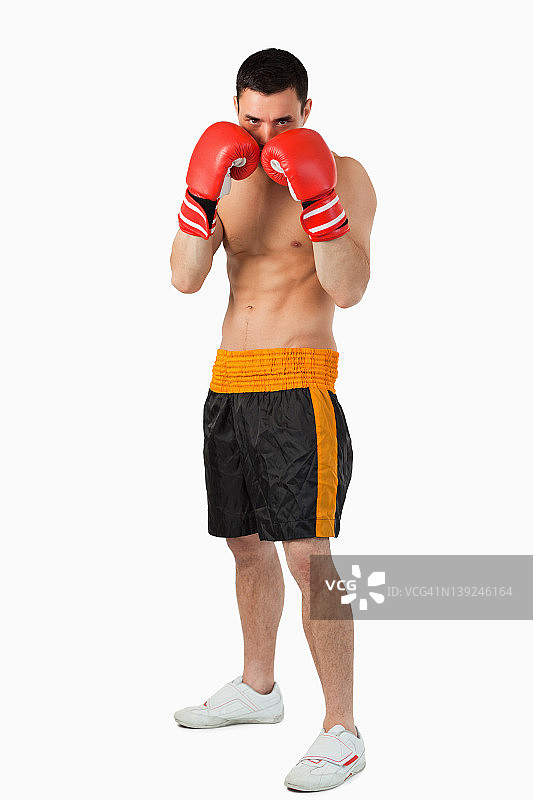 年轻拳击手掩护图片素材