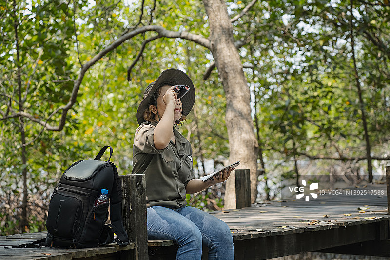 亚洲女研究员穿行于红树林，记录植物群、动物群、景观和环境，以进行深入研究图片素材