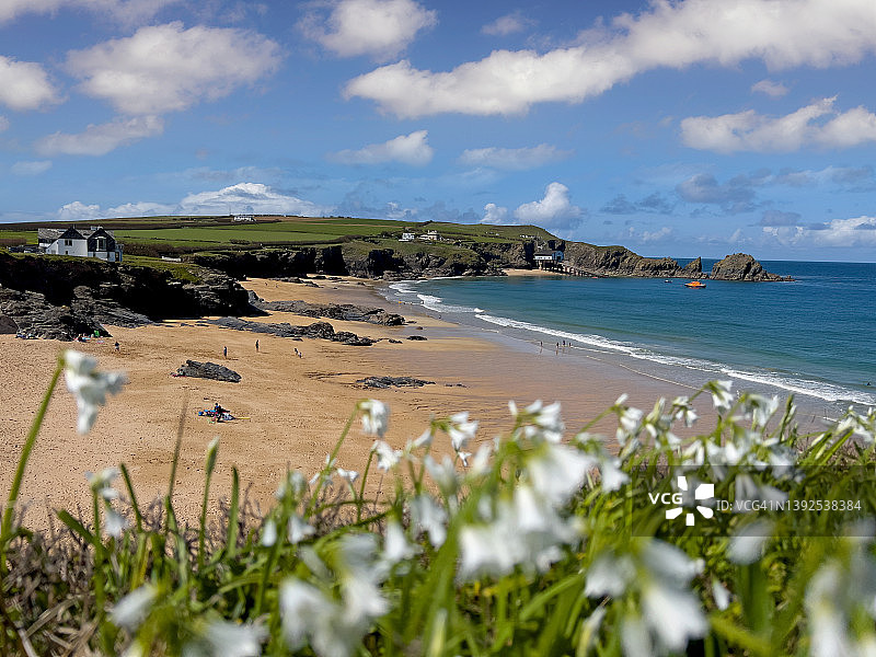 康沃尔艾维斯湾图片素材