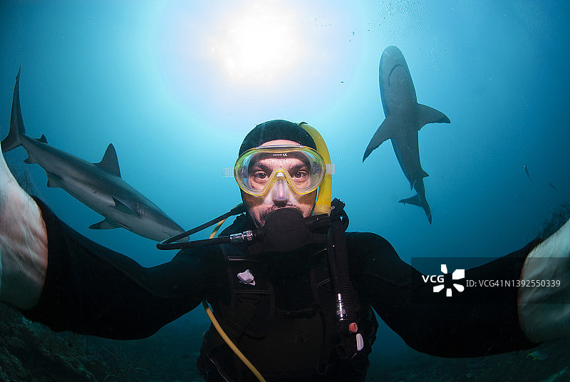 与鲨鱼潜水员的自拍图片素材