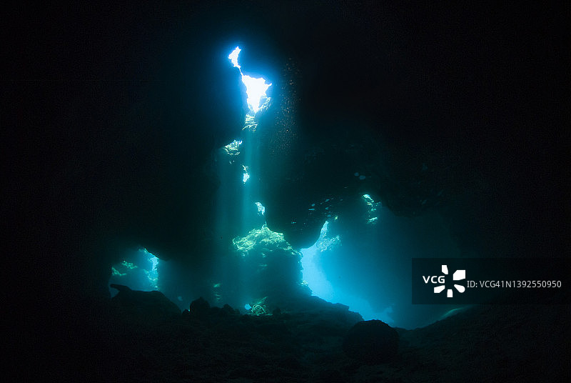 罗阿坦岛海豚巢潜水点图片素材