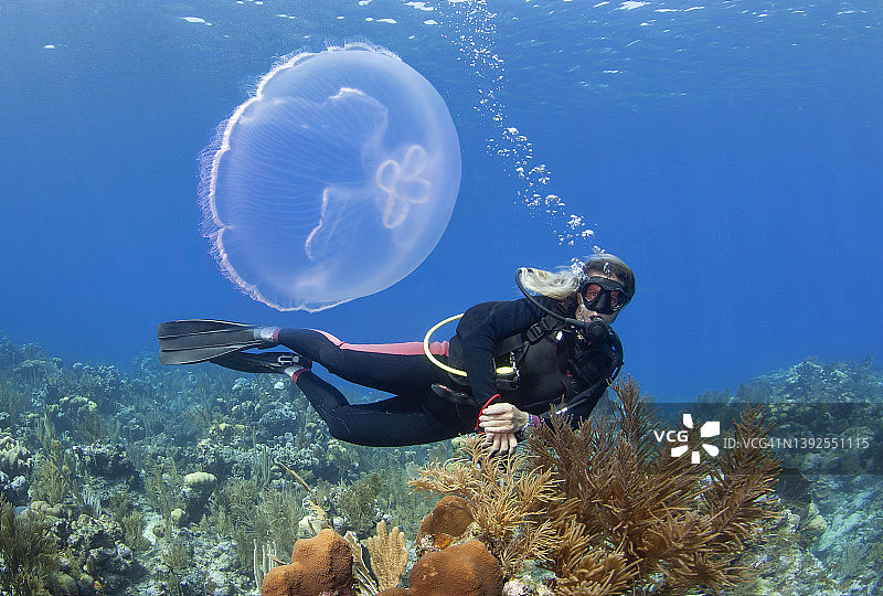 观赏水母的潜水员图片素材