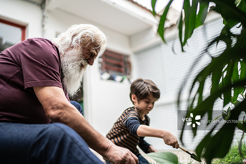 孙子和祖父在家园艺图片素材
