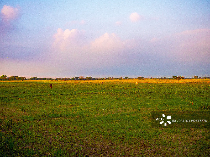 菲律宾普利兰水稻梯田图片素材