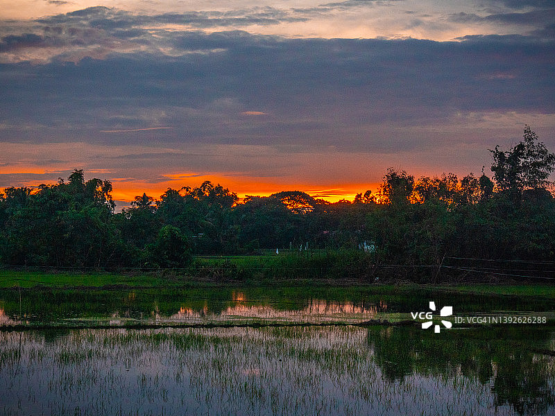 菲律宾布拉干省普利兰的稻田日出景色图片素材