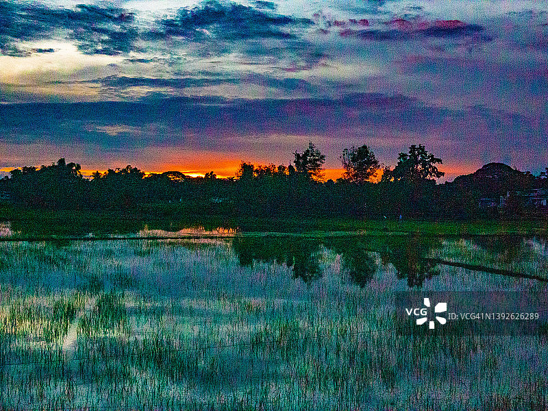 菲律宾布拉干省普利兰的稻田日出景色图片素材
