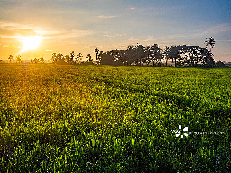 菲律宾布拉坎省普利兰水稻梯田的日出景色图片素材
