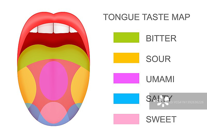 带有味觉感受器地图的舌头从张开的嘴里伸出图片素材