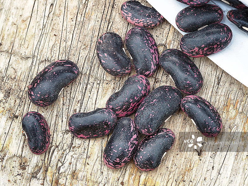 菜豆种子图片素材