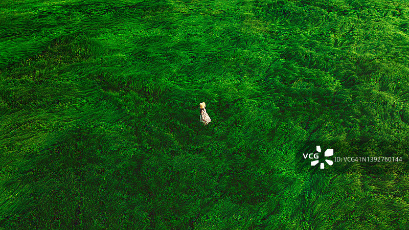 一位女士在春天的草地上眺望图片素材