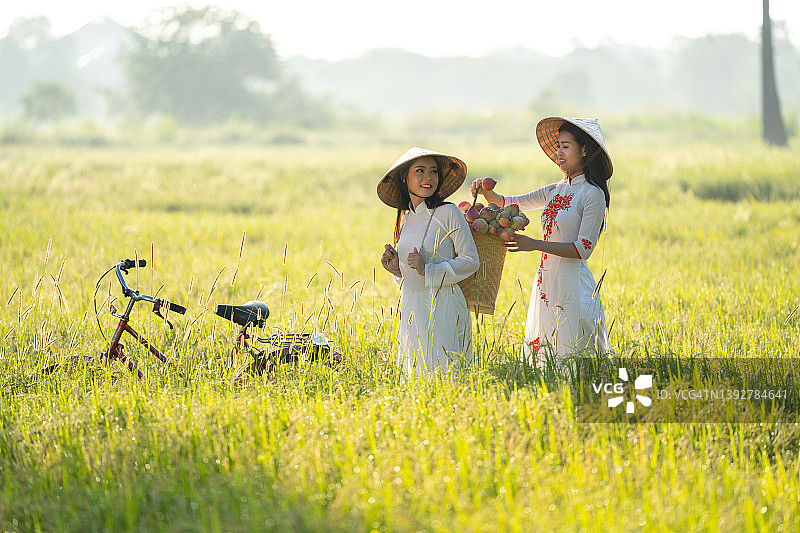 越南女性奥黛图片素材
